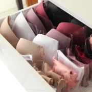 Colmeia Organizadora GG Cristal - Imagem 2