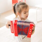 SANFONA INFANTIL 3 BAIXOS ACORDEON MINI GAITA ESTILO PROFISSIONAL